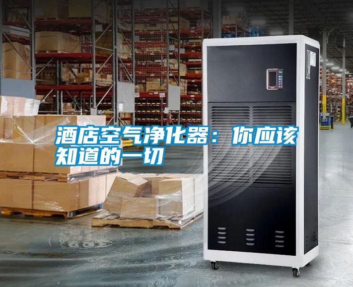 酒店空氣凈化器：你應該知道的一切