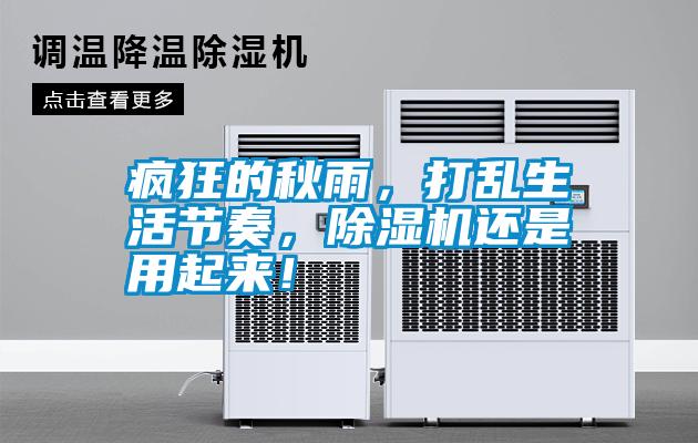 瘋狂的秋雨，打亂生活節奏，除濕機還是用起來！