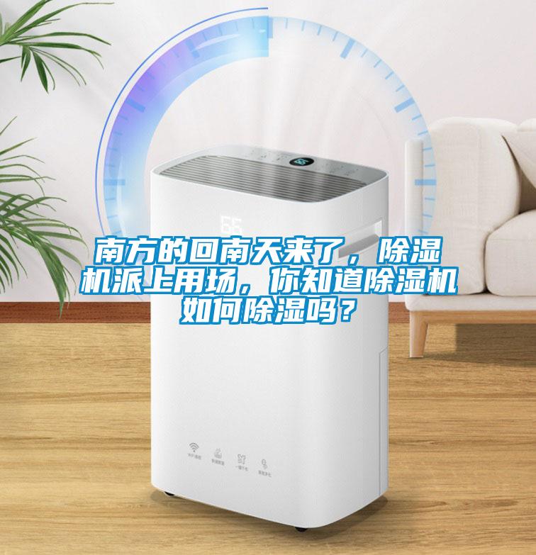 南方的回南天來了，除濕機派上用場，你知道除濕機如何除濕嗎？