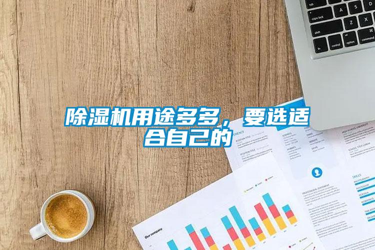 除濕機(jī)用途多多，要選適合自己的