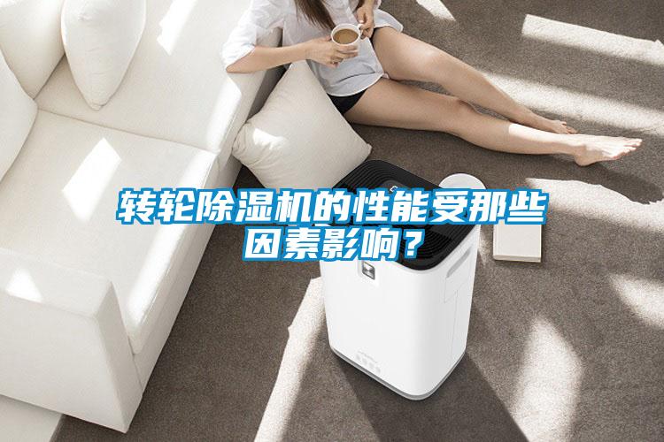 轉(zhuǎn)輪除濕機(jī)的性能受那些因素影響？