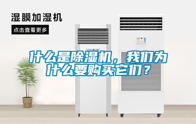 什么是除濕機，我們為什么要購買它們？