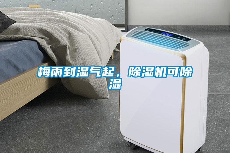 梅雨到濕氣起，除濕機(jī)可除濕