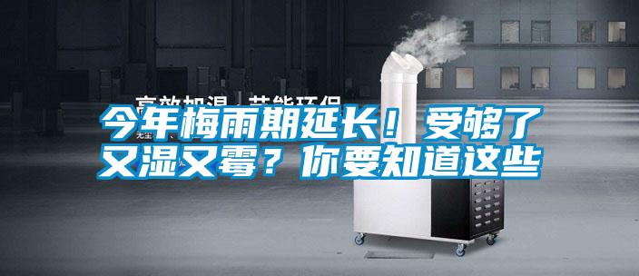 今年梅雨期延長！受夠了又濕又霉？你要知道這些