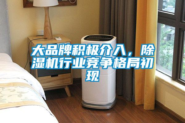 大品牌積極介入，除濕機(jī)行業(yè)競爭格局初現(xiàn)