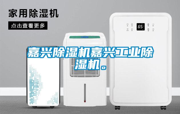 嘉興除濕機嘉興工業除濕機。