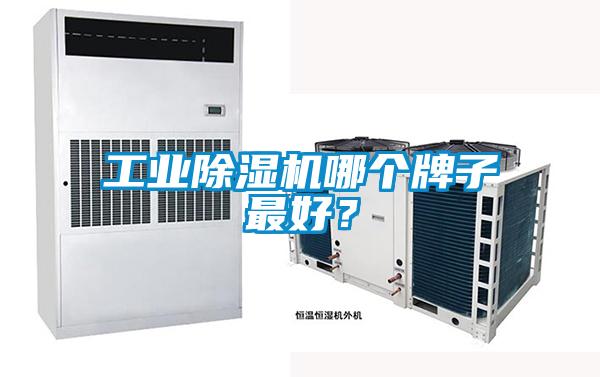 工業(yè)除濕機(jī)哪個牌子最好？