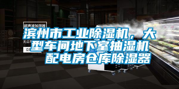 濱州市工業(yè)除濕機，大型車間地下室抽濕機  配電房倉庫除濕器