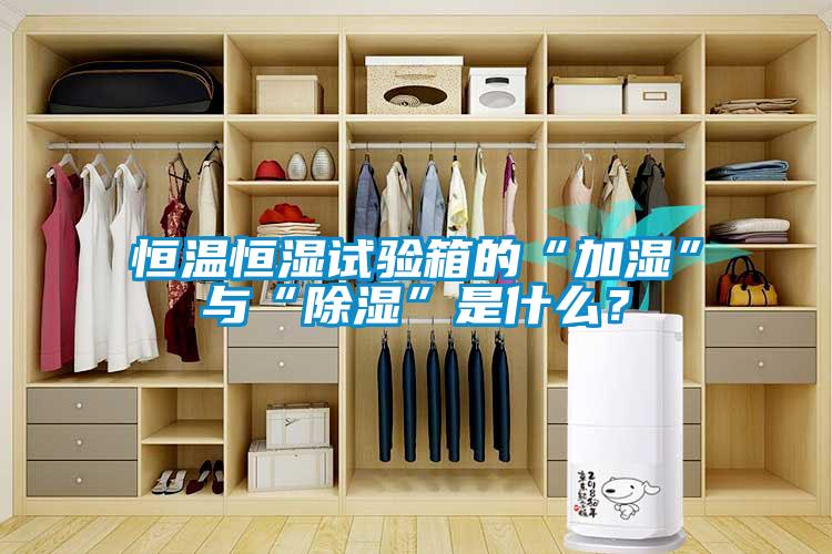 恒溫恒濕試驗箱的“加濕”與“除濕”是什么？