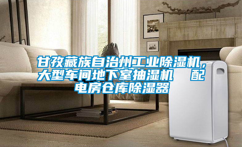 甘孜藏族自治州工業(yè)除濕機，大型車間地下室抽濕機  配電房倉庫除濕器