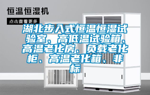 湖北步入式恒溫恒濕試驗(yàn)室、高低溫試驗(yàn)箱、高溫老化房、負(fù)載老化柜、高溫老化箱、非標(biāo)
