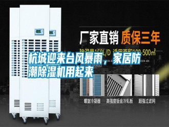知識百科杭城迎來臺風(fēng)暴雨，家居防潮除濕機(jī)用起來