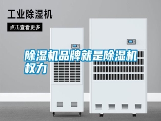 行業(yè)新聞除濕機(jī)品牌就是除濕機(jī)權(quán)力