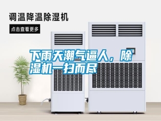 知識百科下雨天潮氣逼人，除濕機一掃而盡