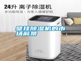 知識百科壁掛除濕機的市場前景
