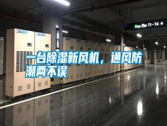 常見問題一臺除濕新風機，通風防潮兩不誤