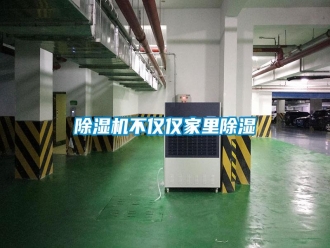 行業新聞除濕機不僅僅家里除濕