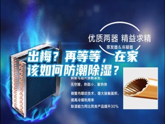 知識百科出梅？再等等，在家該如何防潮除濕？