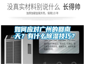 常見問題如何應對廣州的回南天？有什么除濕技巧？