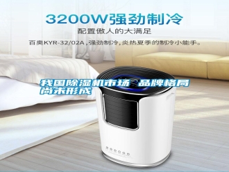 知識(shí)百科我國(guó)除濕機(jī)市場(chǎng) 品牌格局尚未形成
