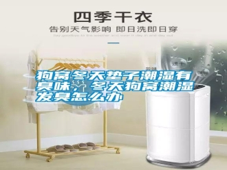 行業新聞狗窩冬天墊子潮濕有臭味，冬天狗窩潮濕發臭怎么辦