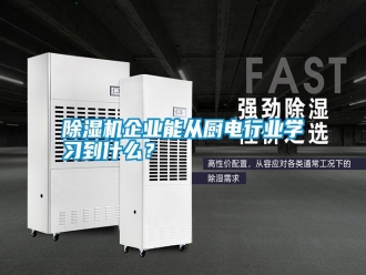 行業(yè)新聞除濕機(jī)企業(yè)能從廚電行業(yè)學(xué)習(xí)到什么？