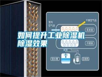 常見問題如何提升工業除濕機除濕效果