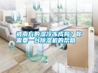 知識百科被南方的濕冷凍成狗？你需要一臺除濕機(jī)的幫助