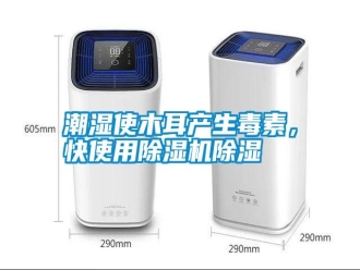 知識百科潮濕使木耳產生毒素，快使用除濕機除濕