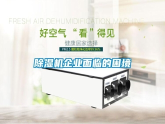 行業新聞除濕機企業面臨的困境