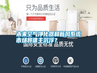 知識百科未來空氣凈化器和新風(fēng)系統(tǒng)市場將誰主沉浮？