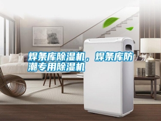 知識(shí)百科焊條庫除濕機(jī)，焊條庫防潮專用除濕機(jī)