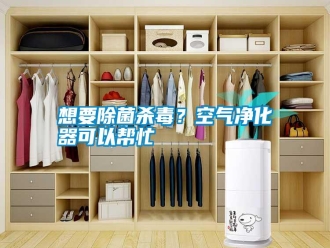 知識(shí)百科想要除菌殺毒？空氣凈化器可以幫忙