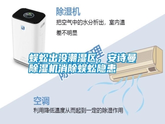 知識百科蜈蚣出沒潮濕區，安詩曼除濕機消除蜈蚣隱患