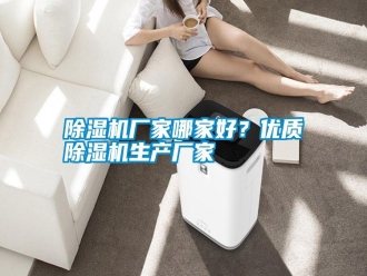 行業新聞除濕機廠家哪家好？優質除濕機生產廠家