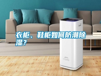 常見問題衣柜、鞋柜如何防潮除濕？
