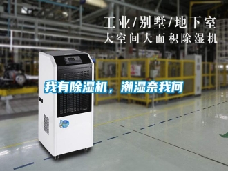 知識百科我有除濕機，潮濕奈我何