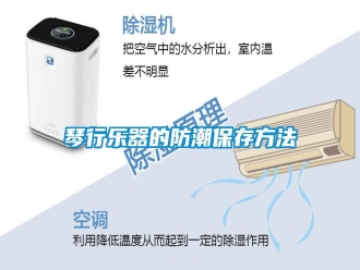 知識(shí)百科琴行樂器的防潮保存方法