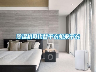 行業新聞除濕機可代替干衣機來干衣
