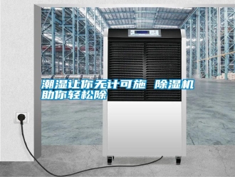 知識(shí)百科潮濕讓你無計(jì)可施 除濕機(jī)助你輕松除