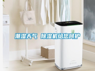 知識百科潮濕天氣 除濕機給您呵護