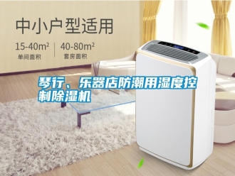 知識(shí)百科琴行、樂器店防潮用濕度控制除濕機(jī)