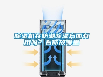 行業新聞除濕機在防潮除濕方面有用嗎？看你放哪里