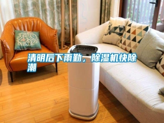 知識百科清明后下雨勤，除濕機快除潮