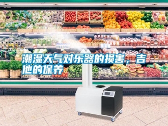 知識百科潮濕天氣對樂器的損害，吉他的保養