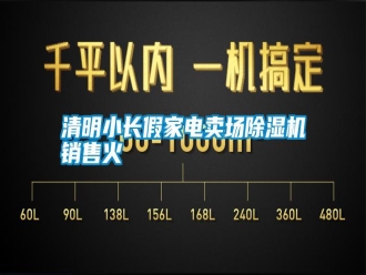 知識百科清明小長假家電賣場除濕機銷售火