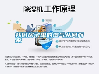 知識(shí)百科我們房子里的濕氣從何而來(lái)