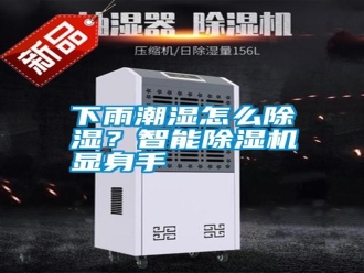 知識百科下雨潮濕怎么除濕？智能除濕機顯身手