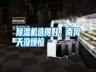 知識百科除濕機選得好，南風天沒煩惱