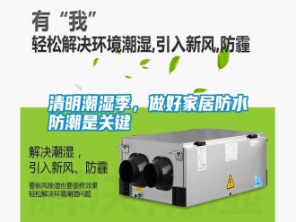 知識百科清明潮濕季，做好家居防水防潮是關鍵